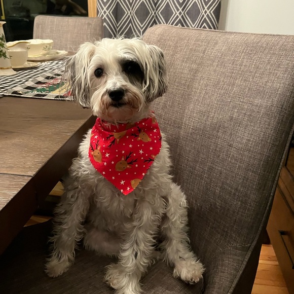 Meet your Posher, Karen - Picture 7 of 10